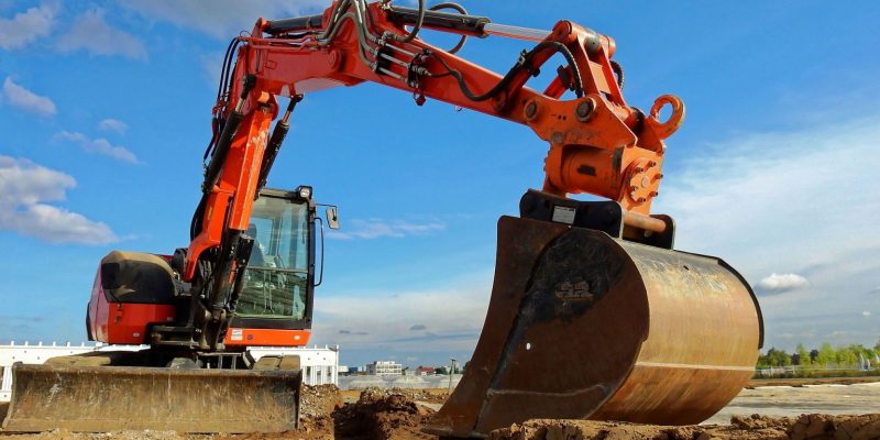 pelle 800x400 1536x768 1