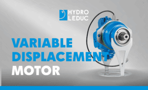 motor variable